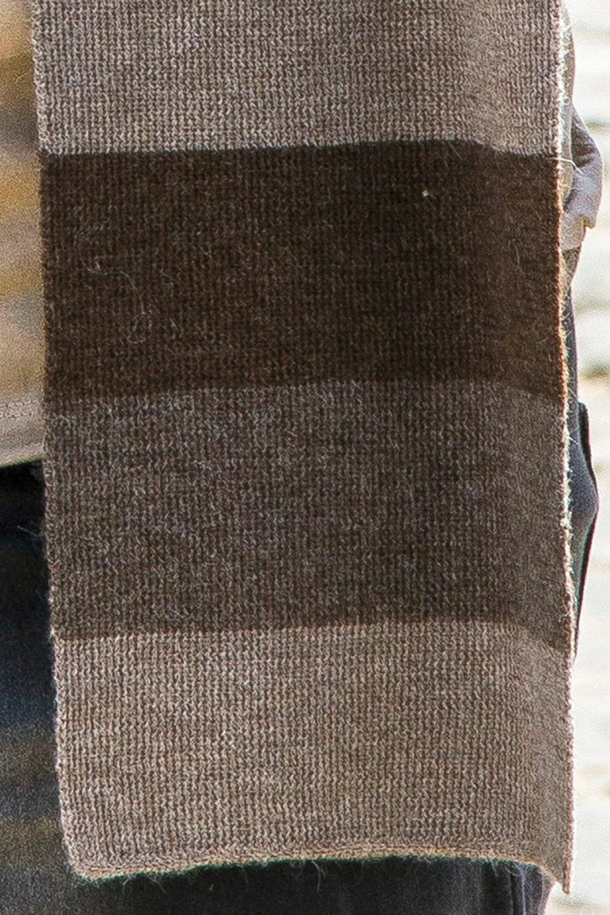 100% Baby Alpaca Scarf - Beige/Brown - ARGUA